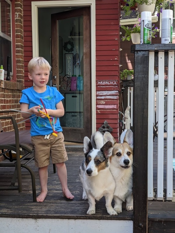page banner