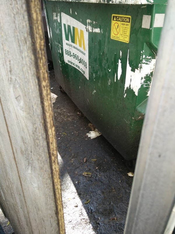 rats before spying on dumpster