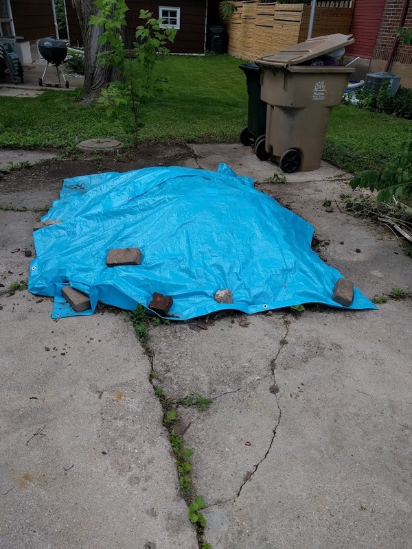 rats dirtpile