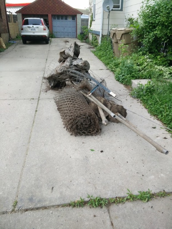 rats garbage