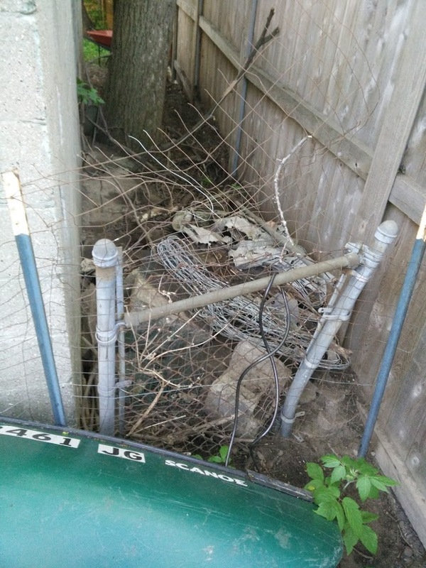 rats other side