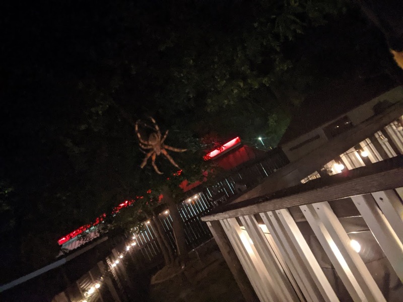 2020 08 23 spiderbro