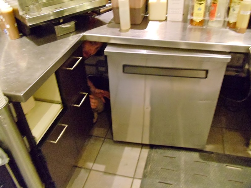 starbucks hiding