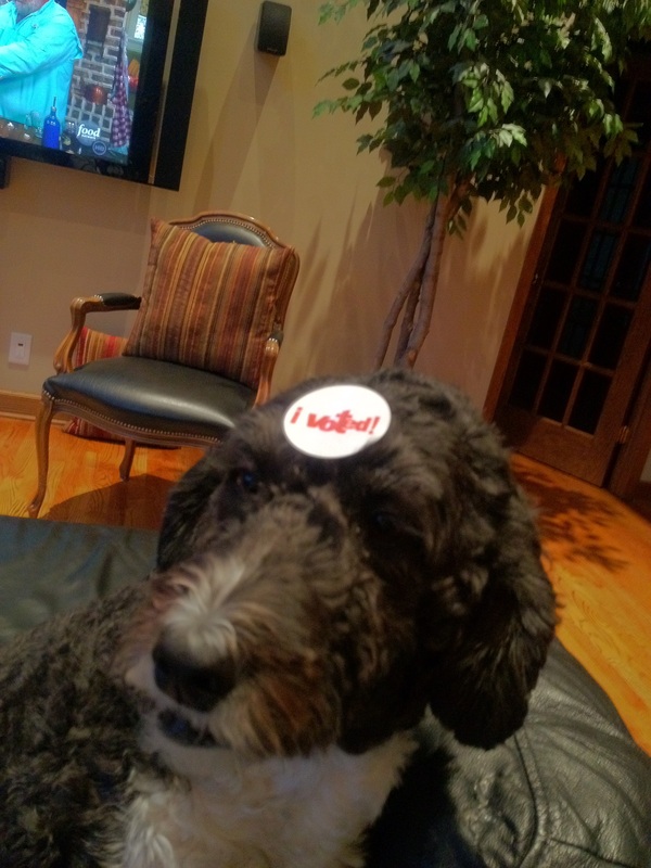 2020 12 28 voted