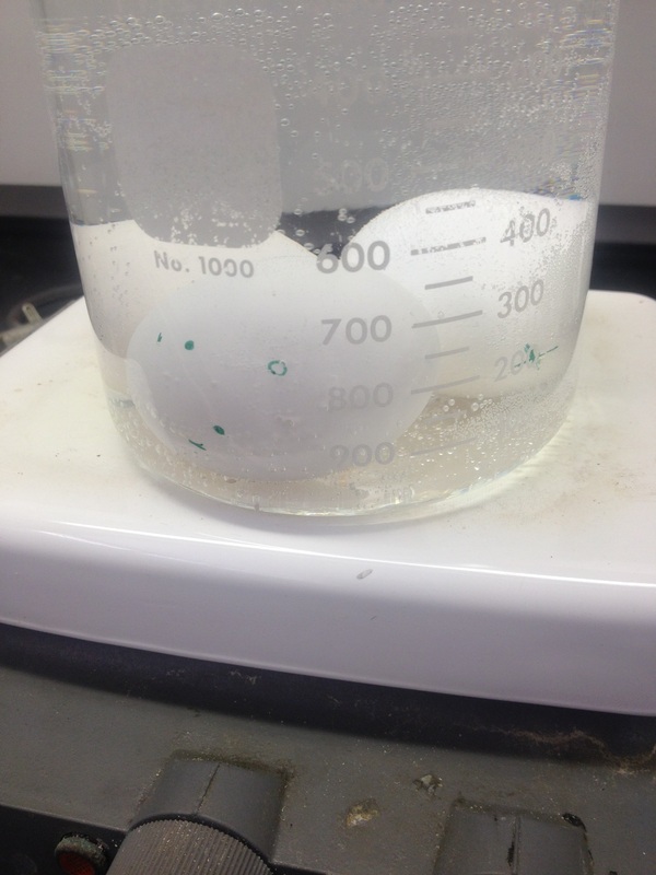 2021 02 14 egg