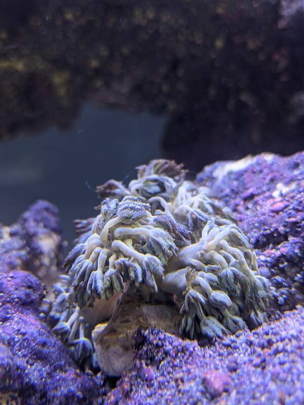 2021 02 26 blendy 2