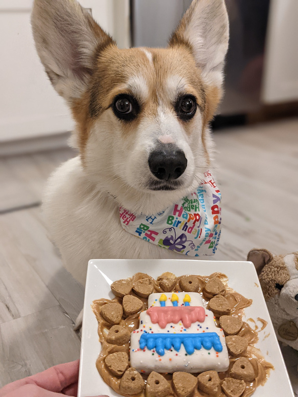 2021 03 09 birthday boy