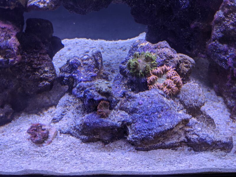2021 04 22 tank 1
