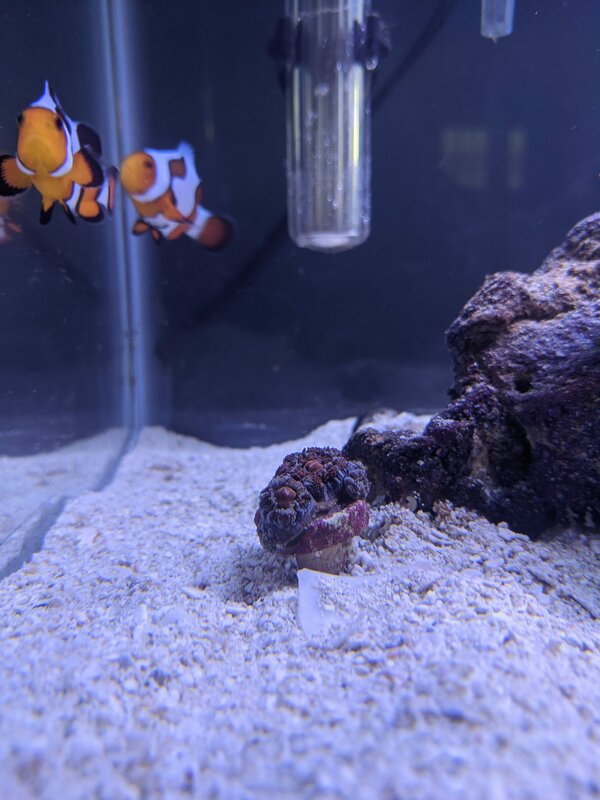 2021 04 22 tank 2