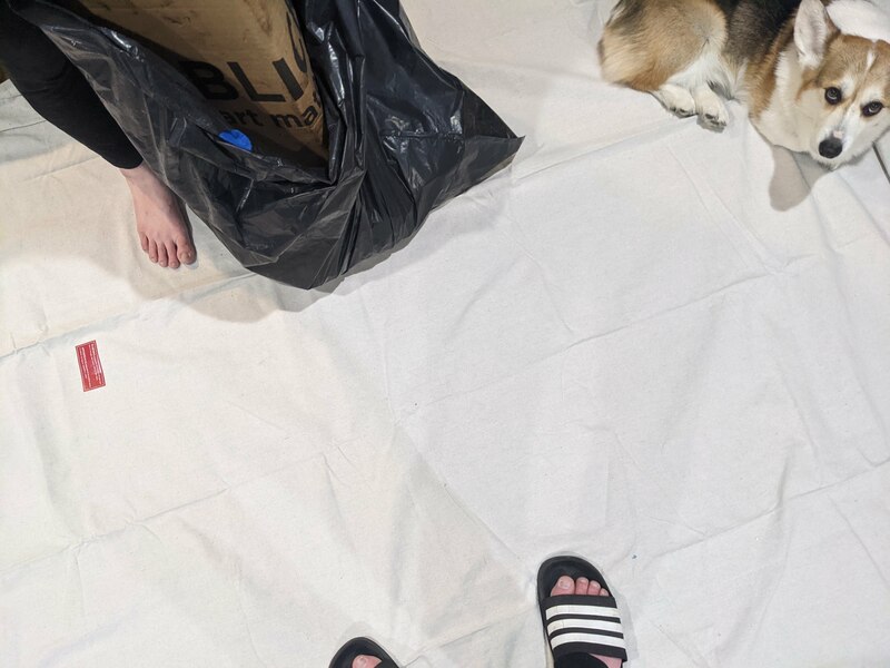 2021 04 24 new dropcloth day