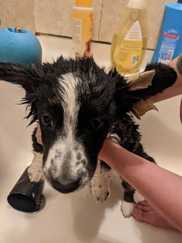 2021 04 29 bath 1