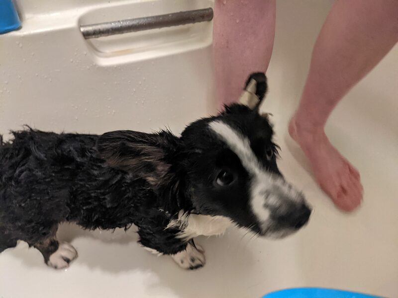 2021 04 29 bath 2