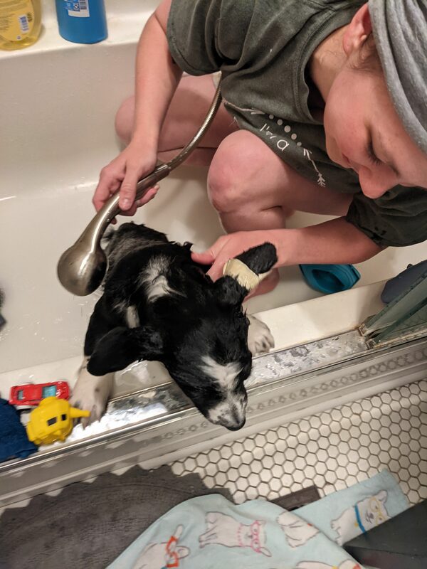 2021 04 29 bath 3