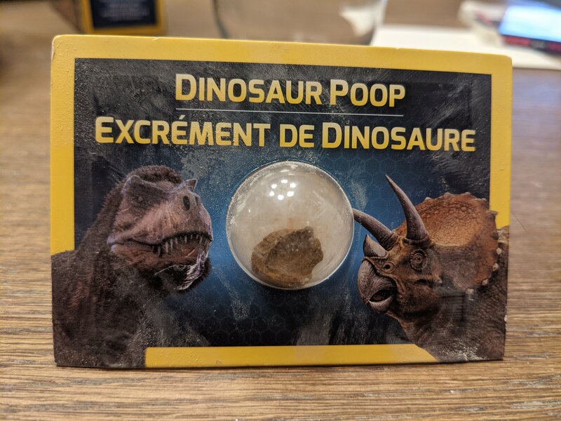 poop