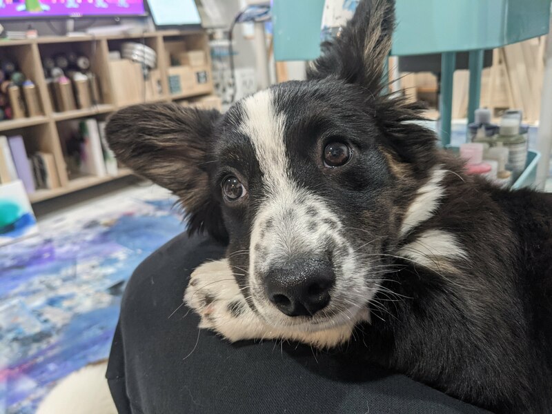 ears