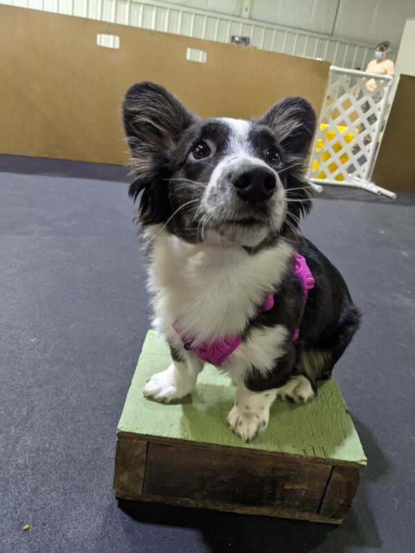 minnie
