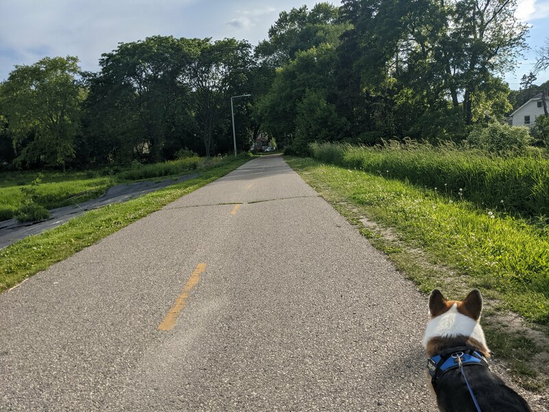 walks
