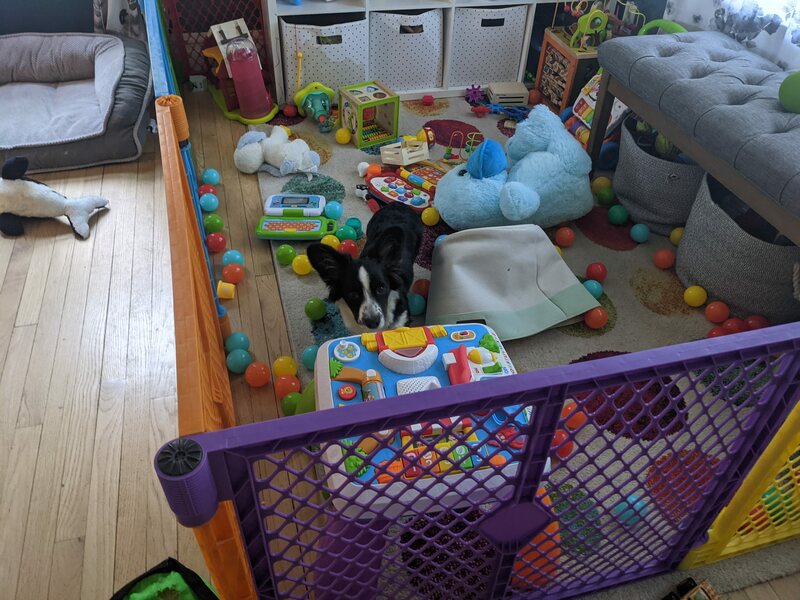 playtime