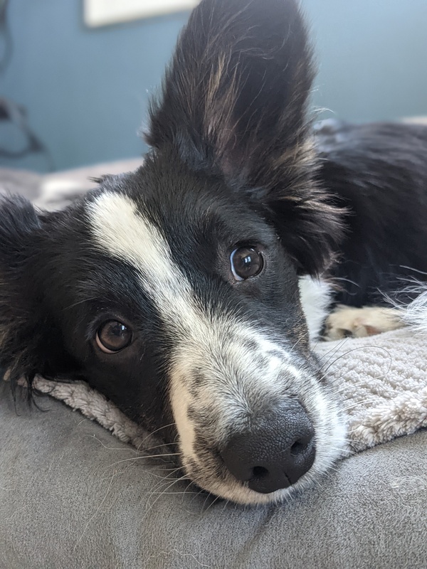 minnie