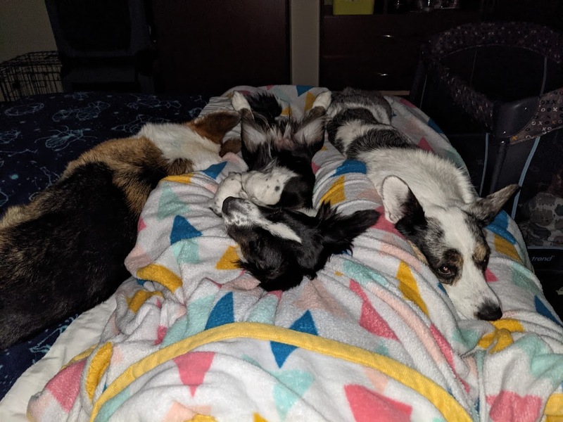 sleeping