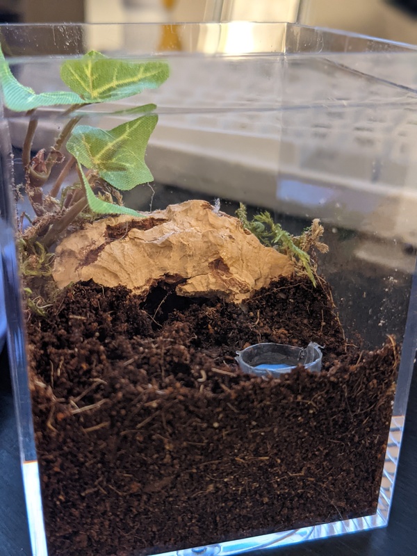 enclosure-1