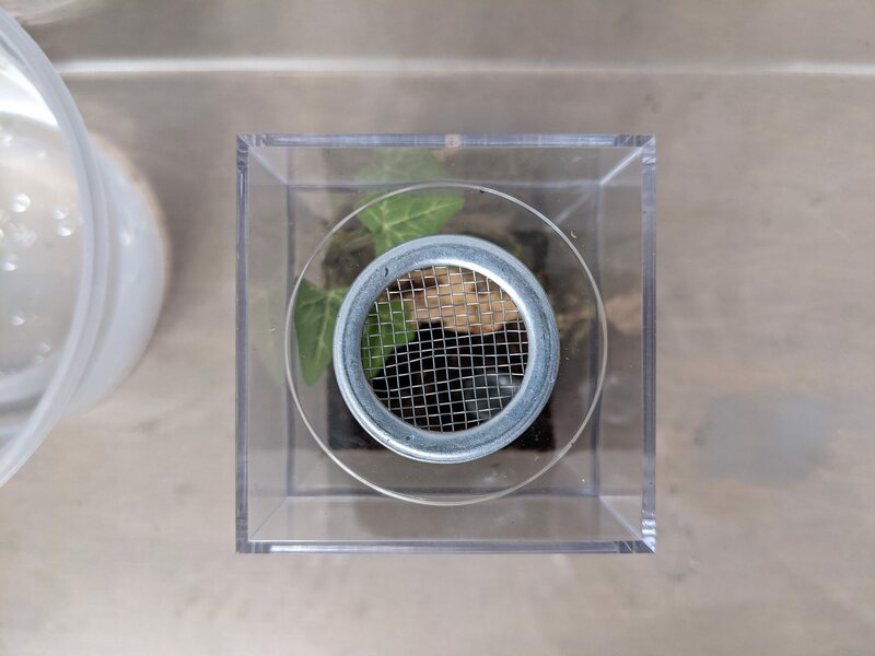 enclosure-2