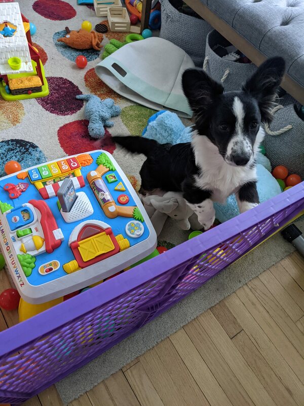 minnie