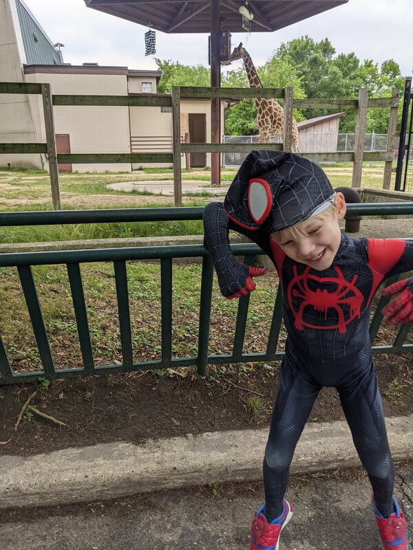 zoo