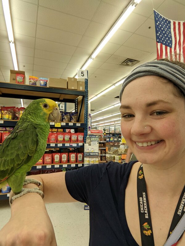 bird