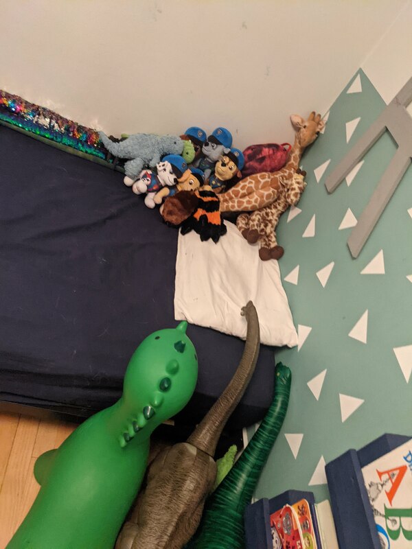 animals