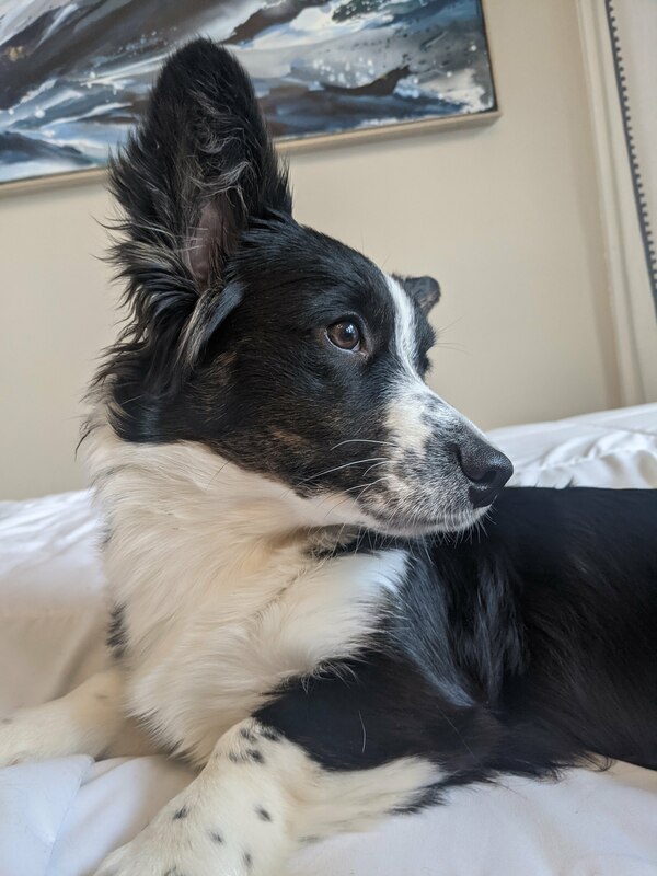 minnie