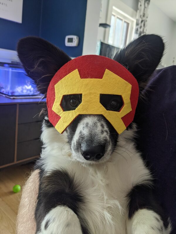 ironpup