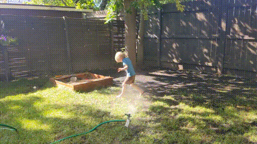 sprinkler