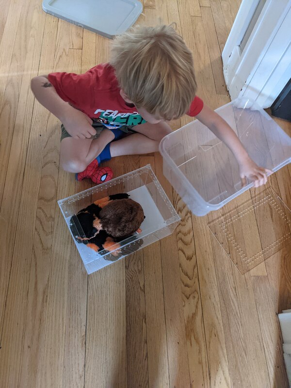 rehouse-1