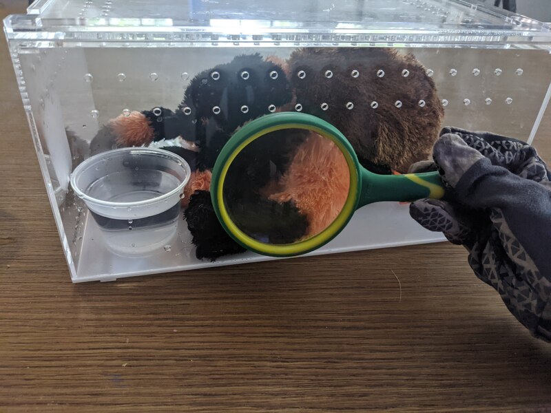 rehouse-2