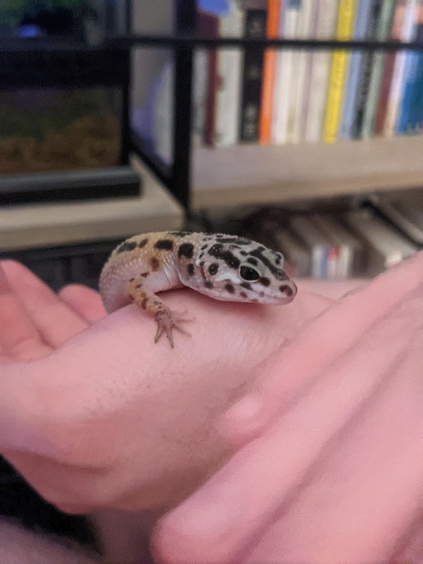 hand