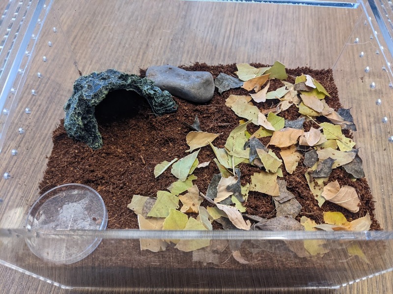 enclosure