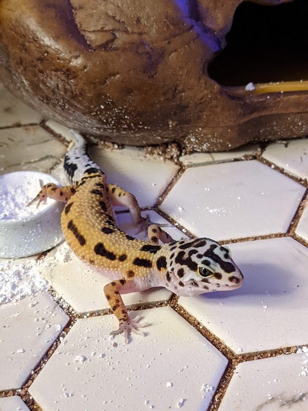 playtime