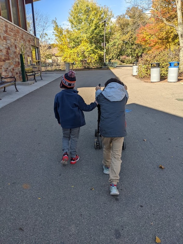 zoo-day