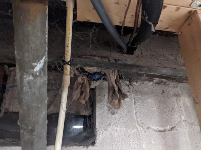 spider-hole