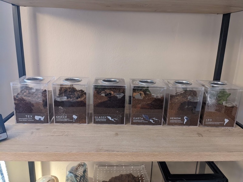 shelf