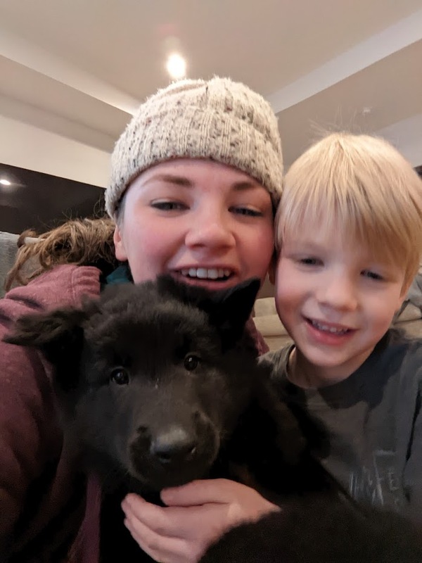 more-puppies