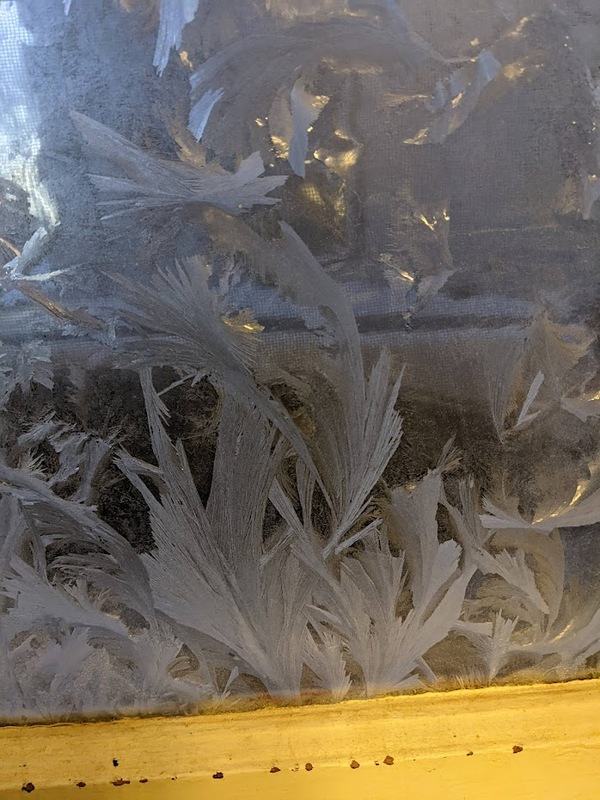 window-1