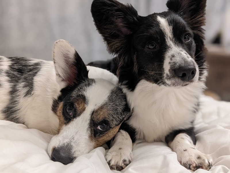 snuggling