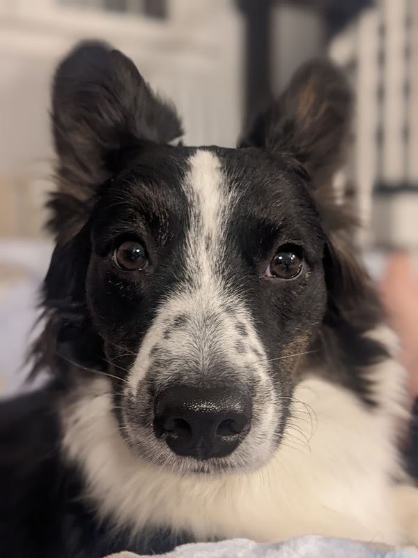 minnie