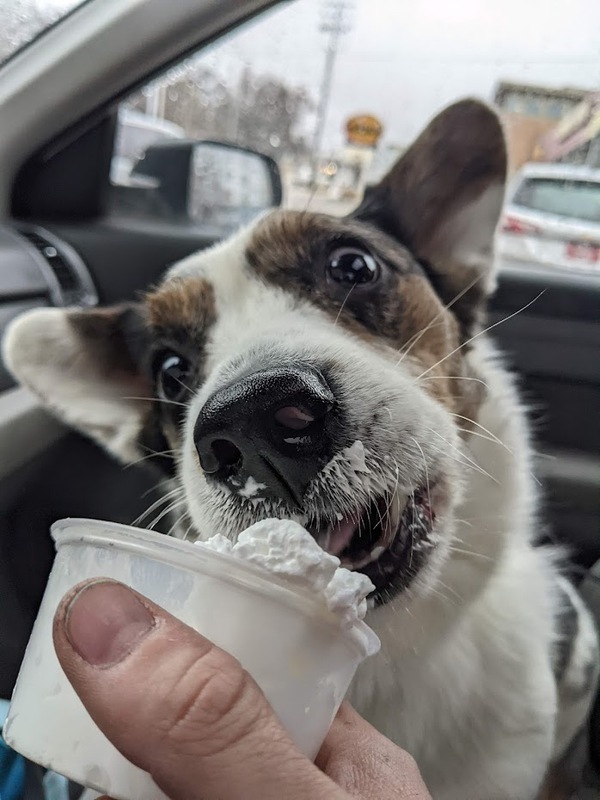 pupcup