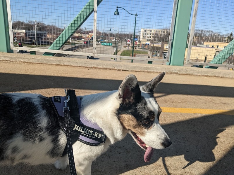 walkies