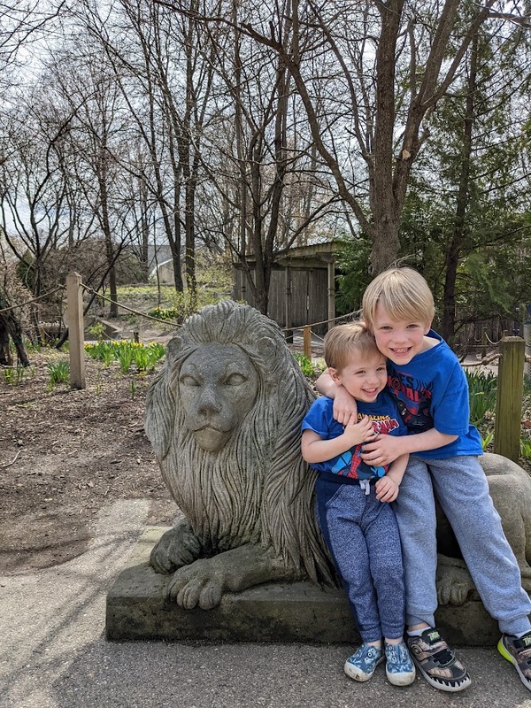 zoo