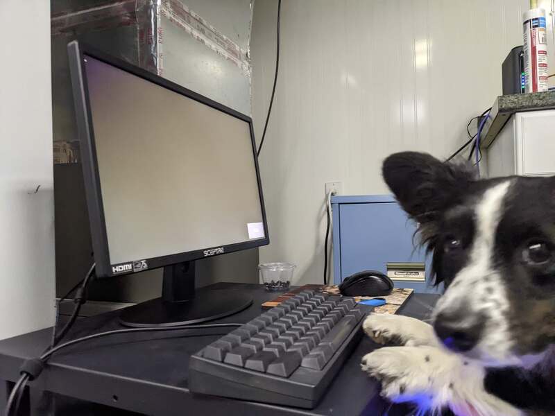 intern