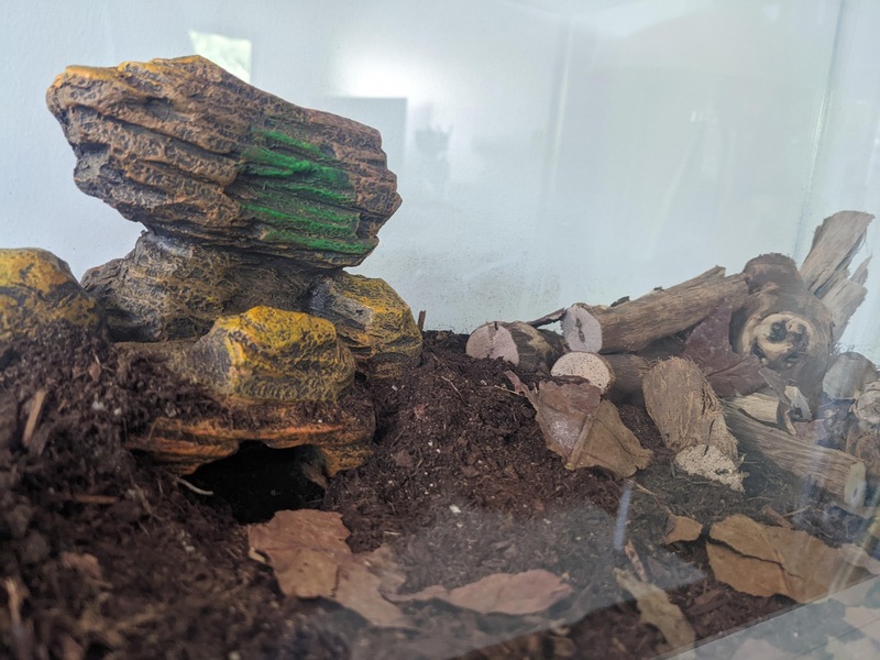 roach-tank